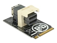 Delock Adapter M.2 Key M > Sff-8643 Nvme Horizontal 2242 - Gränssnittsadapter - 2.5" - U.2 Nvme - M.2 Card