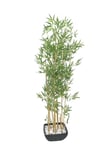 EUROPALMS Bamboo in bowl, artificial, 150cm, Europalms Bambu i Kruka, 150cm