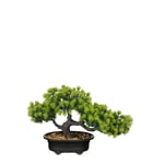 BONSAI 