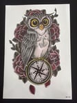 Tillfällig Tatuering 21 x 15cm - uggla owl