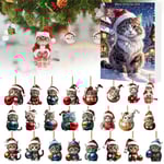 Cat Advent Calendar 2025,Advent Calendar 2025 Kids, Christmas Countdown Calendar 2025, Christmas Advent Calendar 2025,Cat Toy Advent Calendar 2025