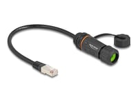 Delock - Nätverksförlängningskabel - Rj-45 (Hane) Till Rj-45 (Hona) - 25 Cm - 6 Mm - Stp - Cat 6A - Damm- Och Vattentät (Ip68), Förslutningslock, M20-Gänga - Svart