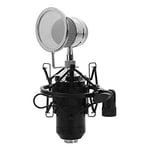 Qiandeng Professional Desktop Broadcast and Recording Condenser Microphone Kit, Microphone Equipment,Recording Microphone with Shock-proof Frame for PC Karaoke Condenser (Color : Black)