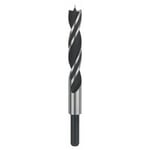 Bosch Professional Brad Point Drill Bit (for wood, Ø 15 mm, accessories rotary drills)