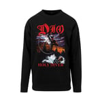 Dio Holy Diver Capuche / Sweatshirt