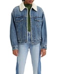 Levi's Women's 90s Sherpa Trucker Jacket, After School Sitcom, M