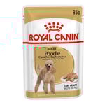 Royal Canin Poodle Adult - 48 x 85 g