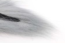 Bucktail - Pearl Gray