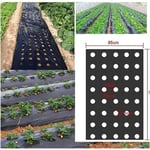 Svart plastmulchduk för trädgård - PE-membran - Markskydd med planteringshål - Plastfilm för grönsaksträdgård