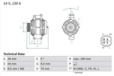 Generator Bosch - Honda - Civic, Accord, Fr-v, Crv