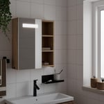 Badeværelsesskab med spejl og LED-lys 45x13x52 egetræsfarve