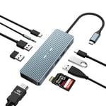 YLSCI Station d'accueil USB C, 10 en 1 Multiport USB C Hub Adaptateur avec HDMI 4K, USB 3.0, USB 2.0, USB C, 100 W PD, SD/TF, Audido pour ordinateurs portables avec Thunderbolt 3, tels que MacBook Pro