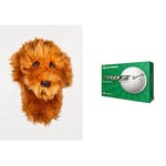Daphne's Doodle Dog Driver/Fairway Wood Head Cover - Brown & TaylorMade RBZ Soft Dozen Golf Balls, White,2021