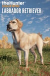 theHunter: Call of the Wild™ - Labrador Retriever (DLC) XBOX LIVE Key EUROPE