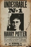 Empireposter – Harry Potter – Undesirable No 1 – Taille (cm) : 61 x 91,5 cm – Poster -