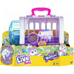 Little Live Pets Lil Hamster & House Playset