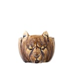 Creative Collection Abner Kruka Brun