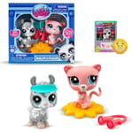 Littlest Pet Shop Pet Pairs 2-Pack Series 1 W1 Collectables Kids Toys Age 4+ New