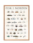 Fisk I Norden, Sten Patterned Poster & Frame