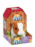 Happy Pets Guinea Pig Toys Interactive Animals & Robots Interactive Animals Multi/patterned Happy Pets