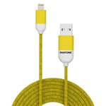 pantone universe cable usb a vers lightning pt lcs001 5y