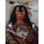 Catlin Buffalo Bulls Back Fat Blood Native American Portrait Large Wall Art Print Canvas Premium Mural