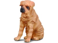 Figurka Collecta Pies Rasy Shar Pei