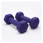Shengluu Weights Dumbbells Sets Women Cast Iron Hex Dumbbell Exercise Weights For Core And Strength Training (Color : Purple, Size : 1.5kg*2)