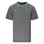 Nike Liverpool T-Skjorte Travel - Grå/Poison Green T-skjorter male