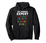 NYC New York City Subway Expert Train Station Signs Graphic Pullover Hoodie