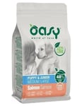 Oasy Dog Puppy And Junior One Protein Medium And Large Salmon 2,5 KG