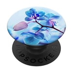 PopSockets De jolies fleurs offrent une bleue orchidée PopSockets PopGrip - Support et Grip pour Smartphone/Tablette avec un Top Interchangeable