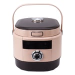 900W Rice Cooker Multifunctional 220V Large Capacity Electric Pressure Cooker TD