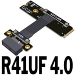 50CM R41UF 4.0 Câble d'extension M.2 NVME vers PCIE X1 4.0, pleine vitesse, clé M2, SSD, Interface de carte mère PCI-E4.0, adaptateur convertisseur 16G/bps Nipseyteko