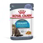 Royal Canin FCN Urinary Care i gelé - Ekonomipack: 24 x 85 g