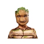 Guardians Of The Galaxy Volume 3 Childrens/Kids Groot 1/2 Mask BN5736