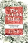 - The Invisible Valley a novel Bok