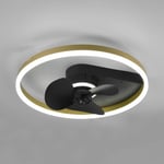 Reality Leuchten Borgholm-kattotuuletin, LED-valot, CCT, musta