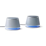 Amazon Basics USB-Powered Computer Speakers with Dynamic Sound , Single Pair, Silver