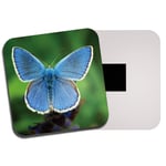 Pretty Blue Butterfly Fridge Magnet - Butterflies Bug Insect Garden Gift #14149