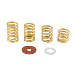 Bigsby Spring and Washer Pack, Gold