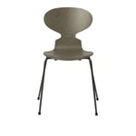 Fritz Hansen - Myran 3101 färgad askfanér stålstativ varm grafit olive green - Matstolar - Arne Jacobsen - Grön - Metall/Trä