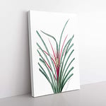 Big Box Art Plumier's Bromelia Flower by Pierre-Joseph Redoute Canvas Wall Art Print Ready to Hang Picture, 76 x 50 cm (30 x 20 Inch), White, Beige, Green, Purple