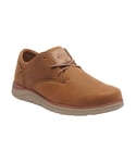 Regatta Great Outdoors Mens Caldbeck Casual Shoes (Indian Chestnut) - Size UK 6