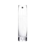 Flower container–ChangSQ Transparent Hydroponic Vase, Straight Slim Glass Vase Living Room Kitchen Restaurant Vase Thick Bottom Crystal Vase 20CM/30CM Decorative ornaments