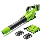 Greenworks 48V(2x24V) Cordless Axial Leaf Blower with Brushless Motor, Turbo Function, 217km/h, 16.4m³/min, PLUS Two of 24V 2Ah Batteries & Charger, 3 Year Guarantee GD24X2ABK2X