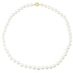 A B Davis Freshwater Lustre Pearls Knotted 16" Necklace with Gold Clasp