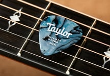 Taylor Premium Darktone 351 Thermex Ultra Picks, Abalone, 1.50mm, 6-Pack