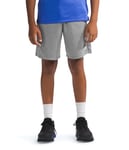 THE NORTH FACE Never Stop Shorts TNF Medium Grey Heather 14-16 Ans