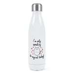 I'm Only Speaking To My Cat Today Double Wall Water Bottle Crazy Lady Funny